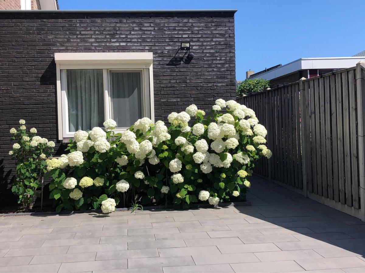 Zoutelande Koddelaan Vakantiewoning Экстерьер фото